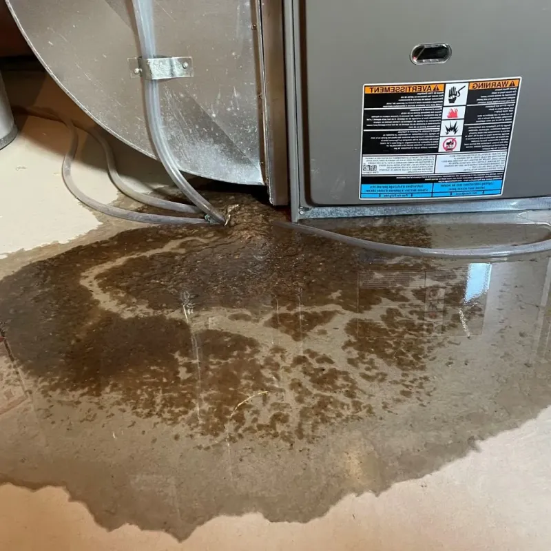 Pipe Burst and Leak Restoration in Lake Barcroft, VA